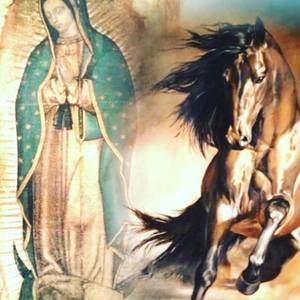 Meet your Posher, Bryan